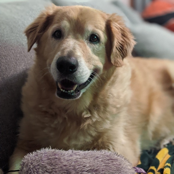 Meet your Posher, Valerie - Picture 1 of 1